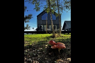 Biernacki Patryk - Domy szkieletowe